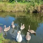 Pod Swierkami -