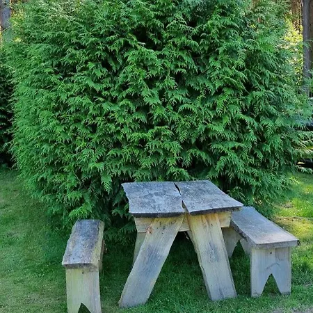 Pod Swierkami - *