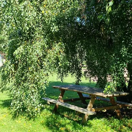 Pod Swierkami - * Kołczewo