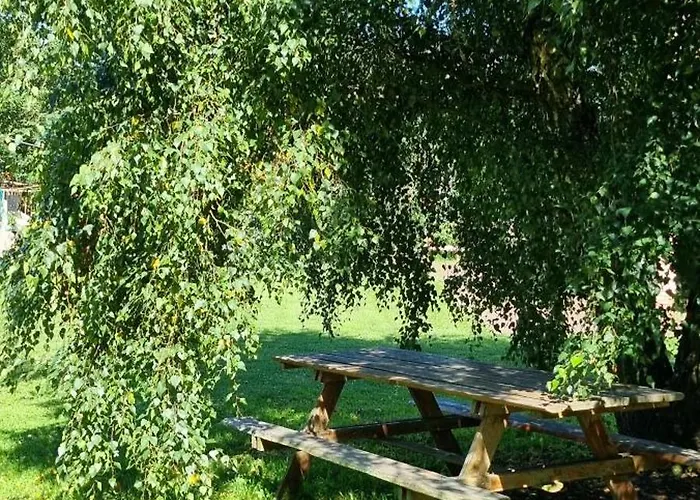 Pod Swierkami - * Kołczewo