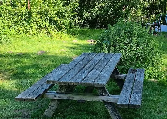 Pod Swierkami - Kemping