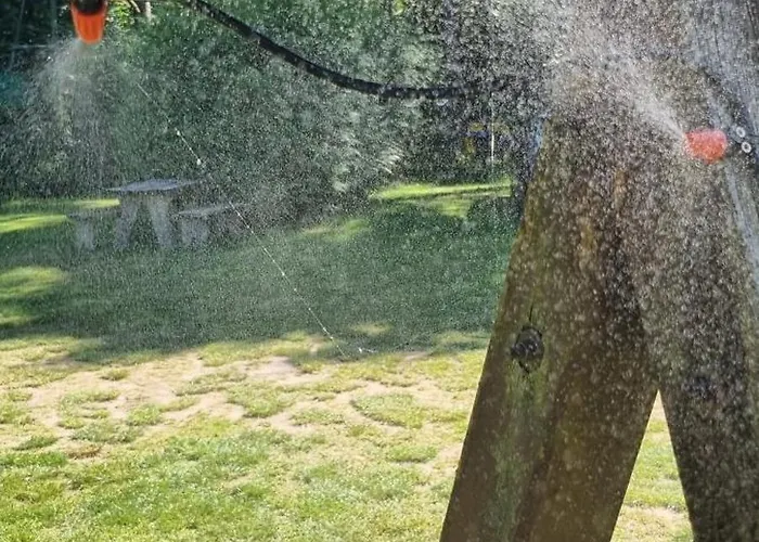 Kemping Pod Swierkami - *