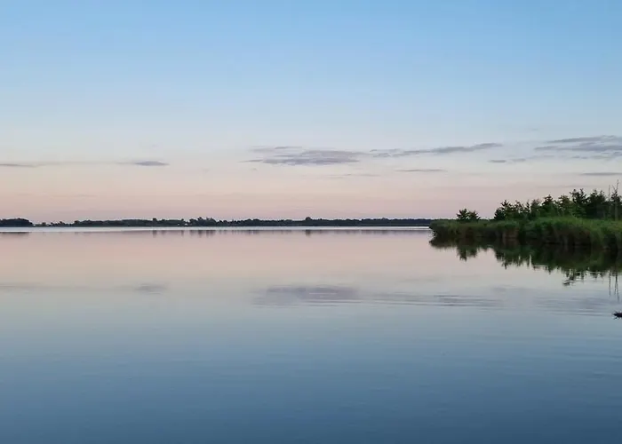 Kemping Pod Swierkami - *