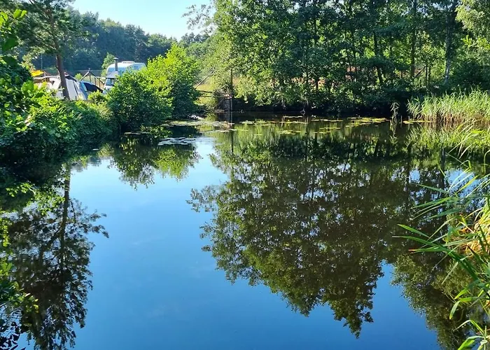 Kemping Pod Swierkami - Kołczewo