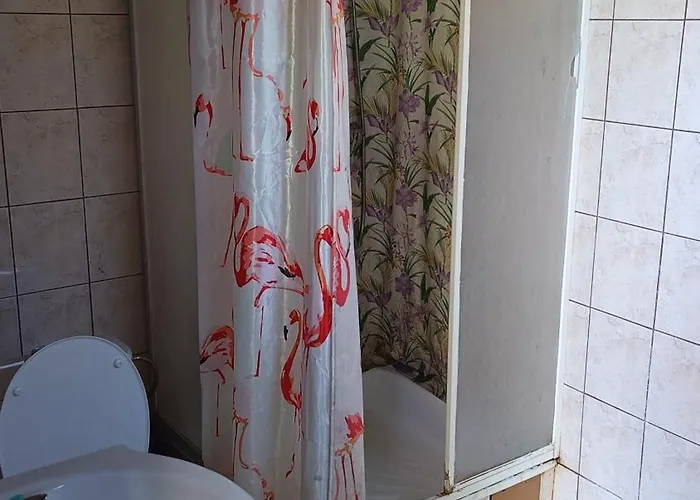 Pod Swierkami - Kołczewo