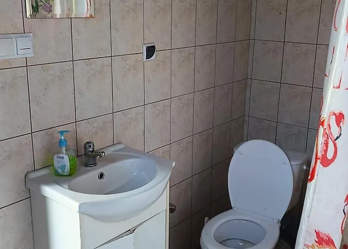 Pod Swierkami - Kemping