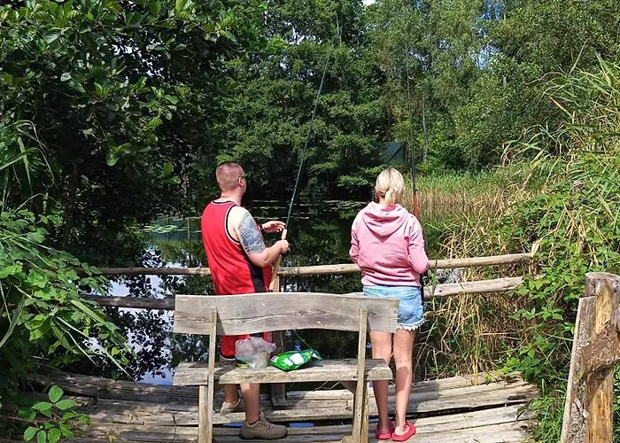 Kemping Pod Swierkami - *