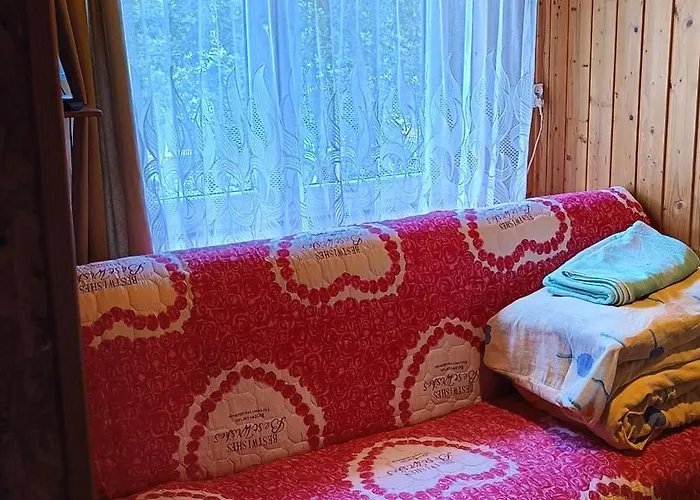 Kemping Pod Swierkami - *